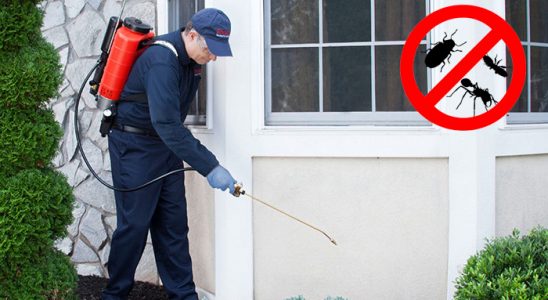 Kapaklı Sivrisinek İlaçlama böcek ilaçlama ve haşere kontrolü — ilaclama-tr.com